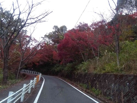 settukyo201811_5