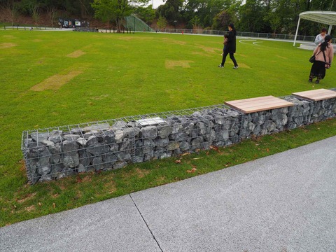 20240423ダムパークいばきた (9)