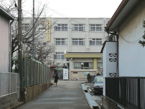 IMG_20240313_082508_edit_82014564483839