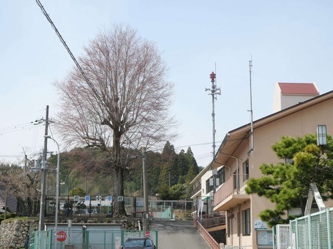 20250405樫田 (24)
