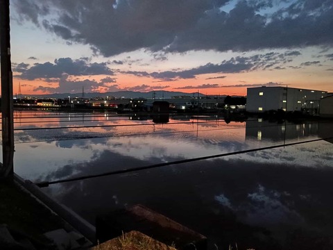 20250605夕焼け (2)