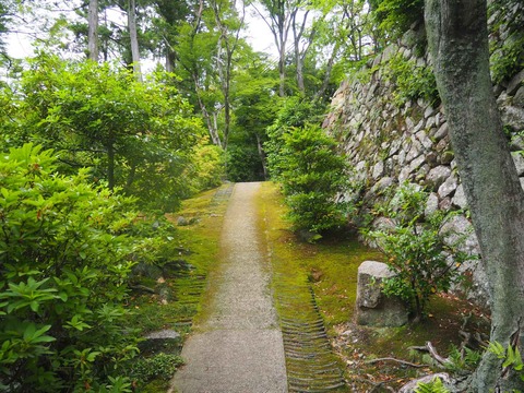 20220611安威川ダム_大門寺 (22)