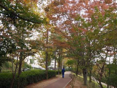 202110紅葉 (20)