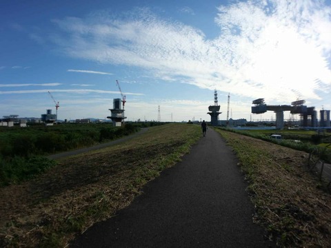 20250927新名神国道堤防 (72)