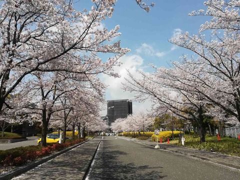 sk_20190408_1