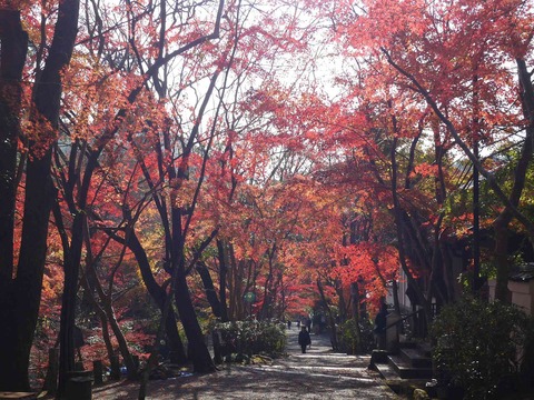 kabuzan20181127_8