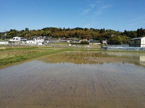 20220504樫田 (7)