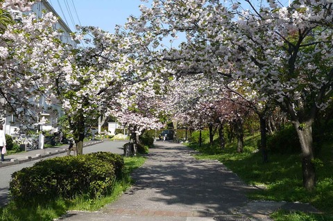 sk_20190418_10