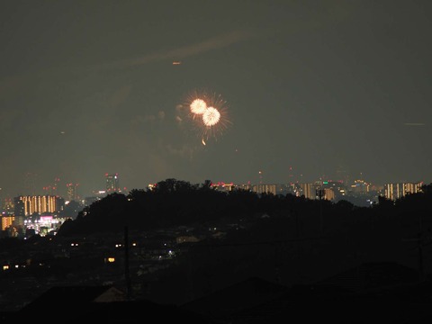 20220827なにわ淀川花火 (55)