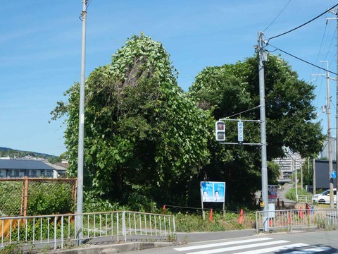 20240707芥川郡家 (1)