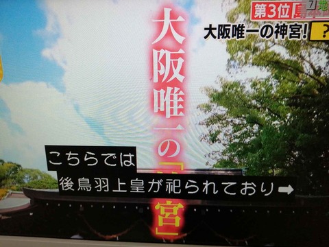 202409テレビ関連 (50)