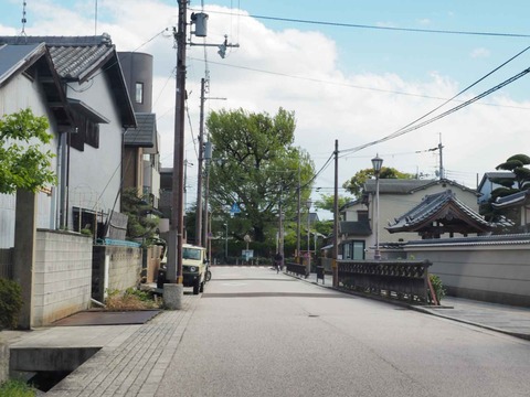 20230408アベマキ (3)
