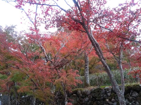 koyo2018_7