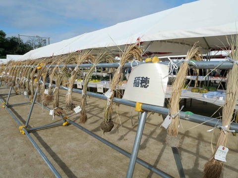 20241117農林業祭 (25)
