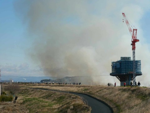 20250223淀川橋 (7)