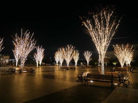 20241130安満関公園 (16)