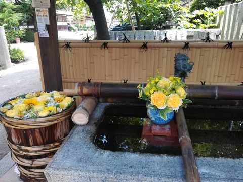 20220619野見神社 (2)