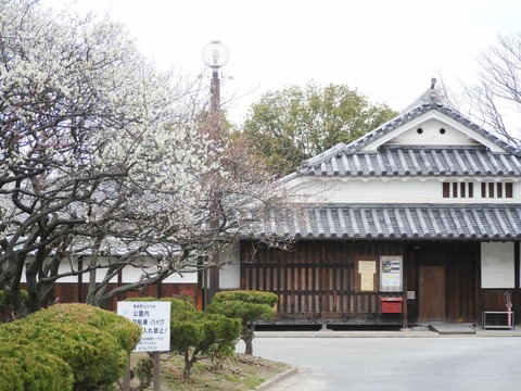 20260216高槻城公園南地区 (35)