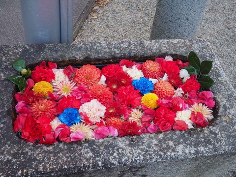 20220130野見神社 (4)