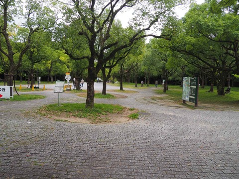 20221022万博記念公園 (10)