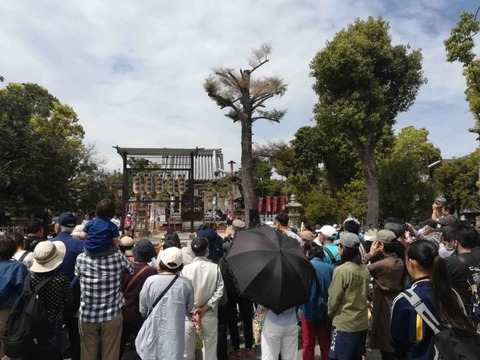 20230505神服神社 (1)