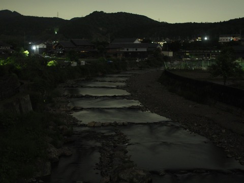 20240517ホタル (7)