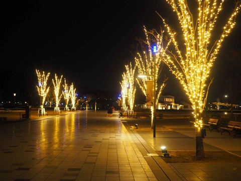 20230203安満遺跡公園 (7)