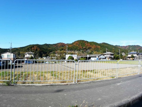 20241207府道6号紅葉 (4)