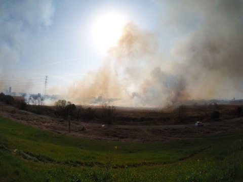 20230312ヨシ焼き (33)