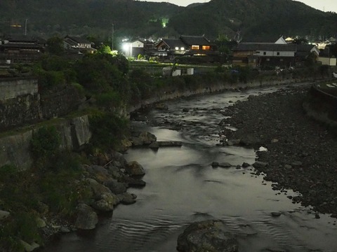 20230521ホタル (21)