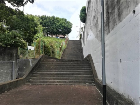 20230712階段真上 (6)