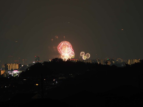 20220827なにわ淀川花火 (156)