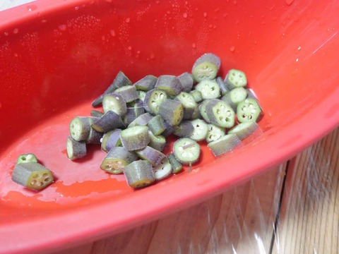 20240923赤オクラ (4)