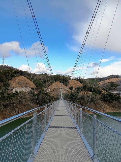 20250317吊り橋 (8)