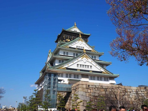 20230319大阪城公園 (39)