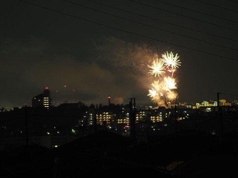 20221126万博花火 (42)
