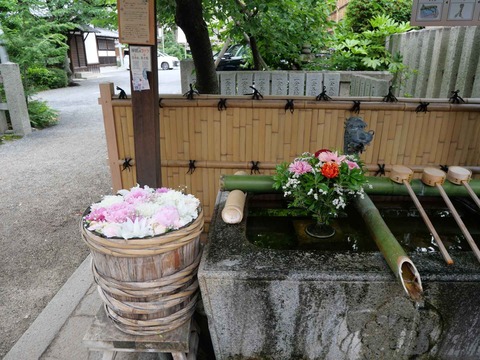 20240609野見神社 (1)