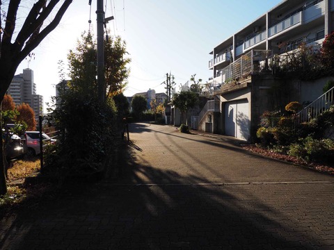 20211127abuyama_kaidan (4)