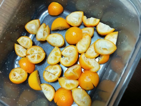 20250411キンカン (2)