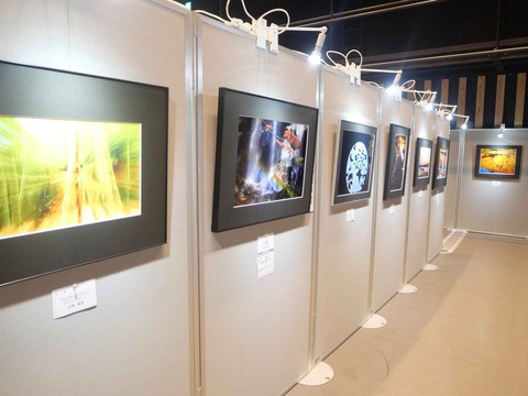20240921高槻市美術展 (40)