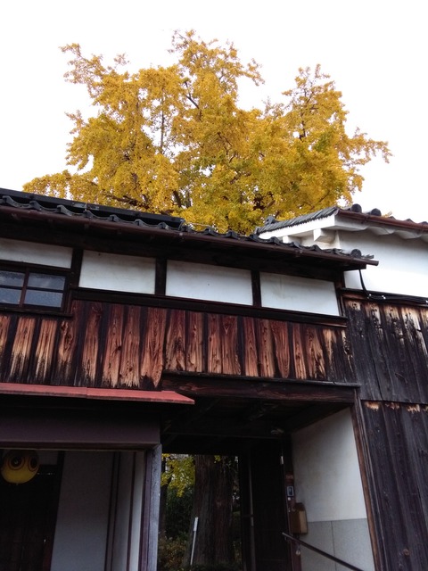 sinnyoji_icho2