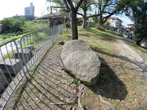 20241104淀城 (71)