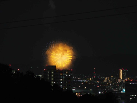 20220904くらわんか花火 (10)