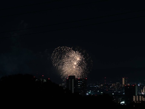 20240815くらわんか花火 (14)