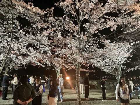 20240407松坂 (3)