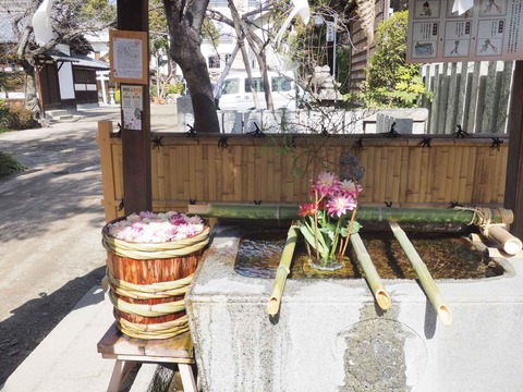 20230212野見神社 (2)