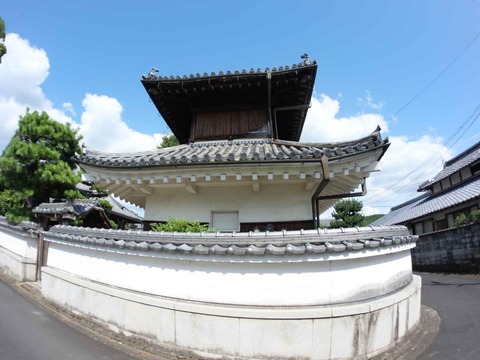 20240818園田城 (137)