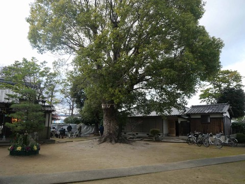 20260101すさのう神社 (3)