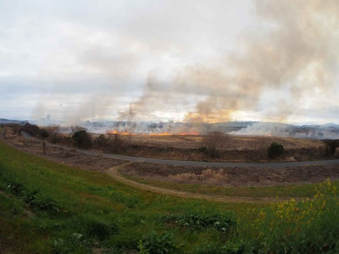 20240218ヨシ焼き (85)