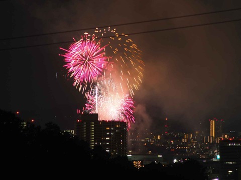 20220904くらわんか花火 (129)